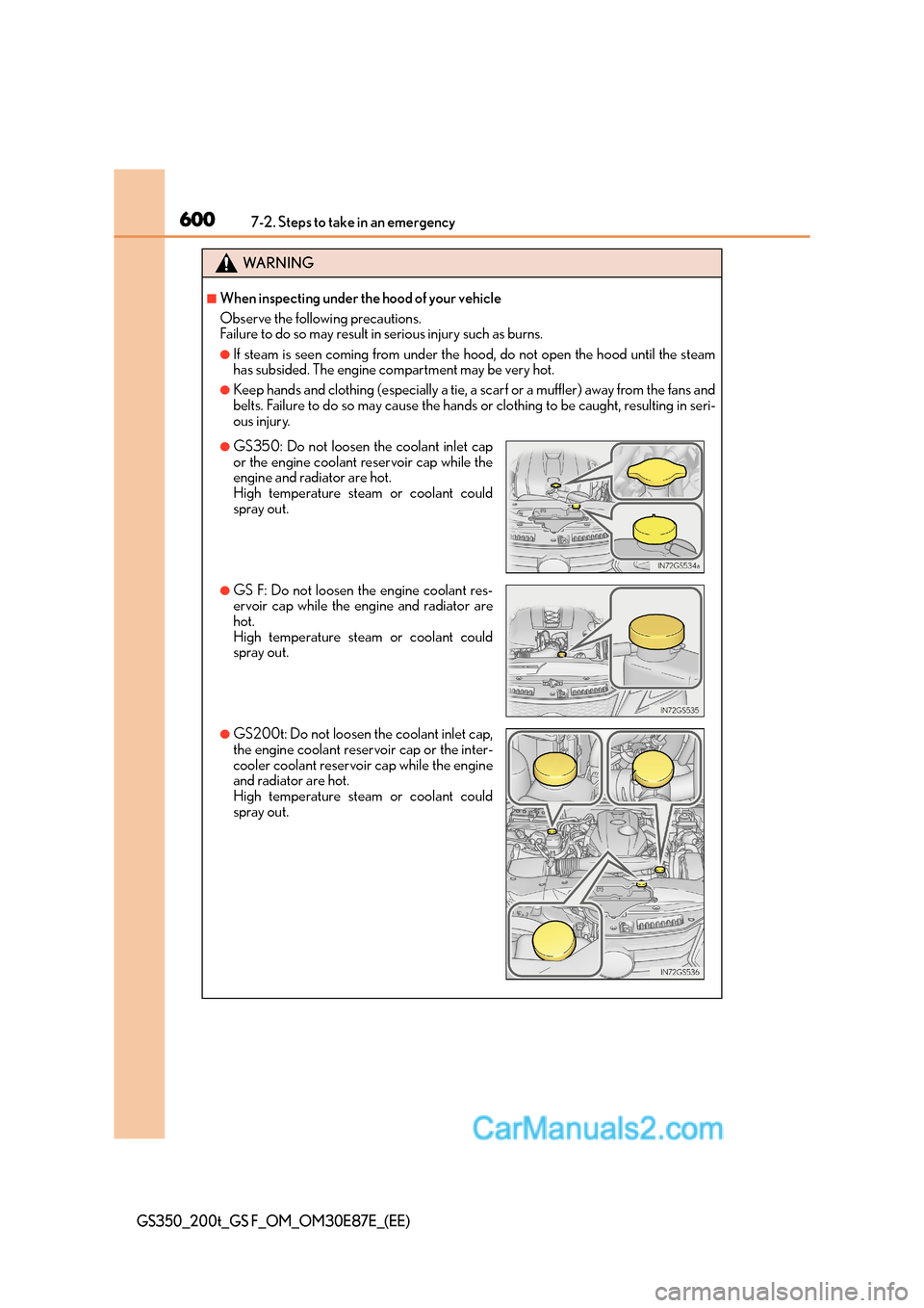 Lexus GS200t 2016  Owners Manuals 6007-2. Steps to take in an emergency
GS350_200t_GS F_OM_OM30E87E_(EE)
WA R N I N G
■When inspecting under the hood of your vehicle
Observe the following precautions. 
Failure to do so may result in