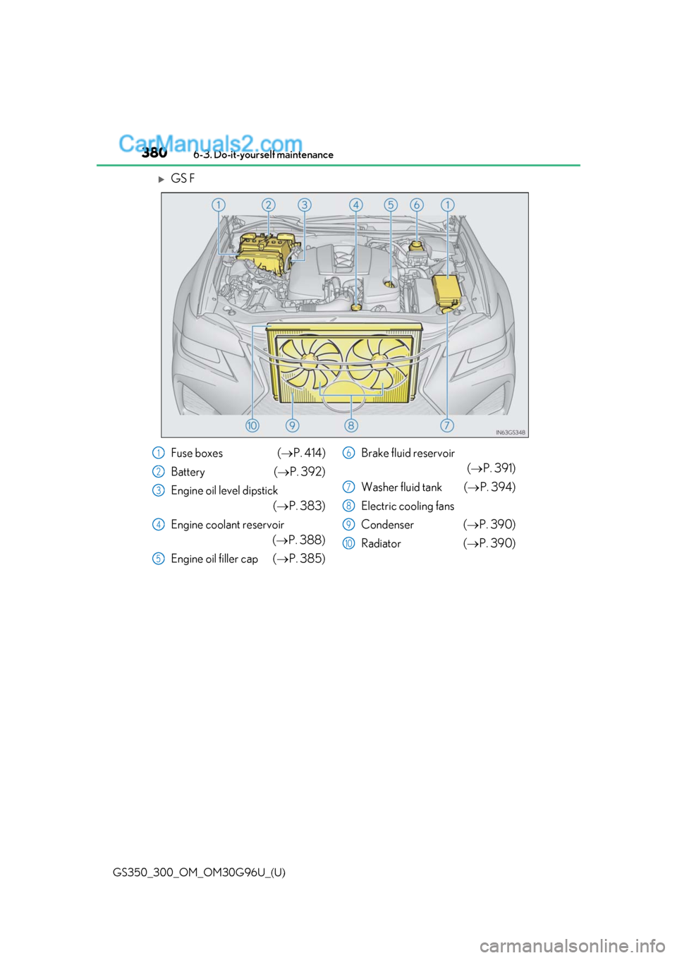 Lexus GS300 2019 Owners Guide 380
GS350_300_OM_OM30G96U_(U)6-3. Do-it-yourself maintenance
GS F
Fuse boxes (
P. 414)
Battery (P. 392)
Engine oil level dipstick (P. 383)
Engine coolant reservoir (P. 388)
Engine oil f