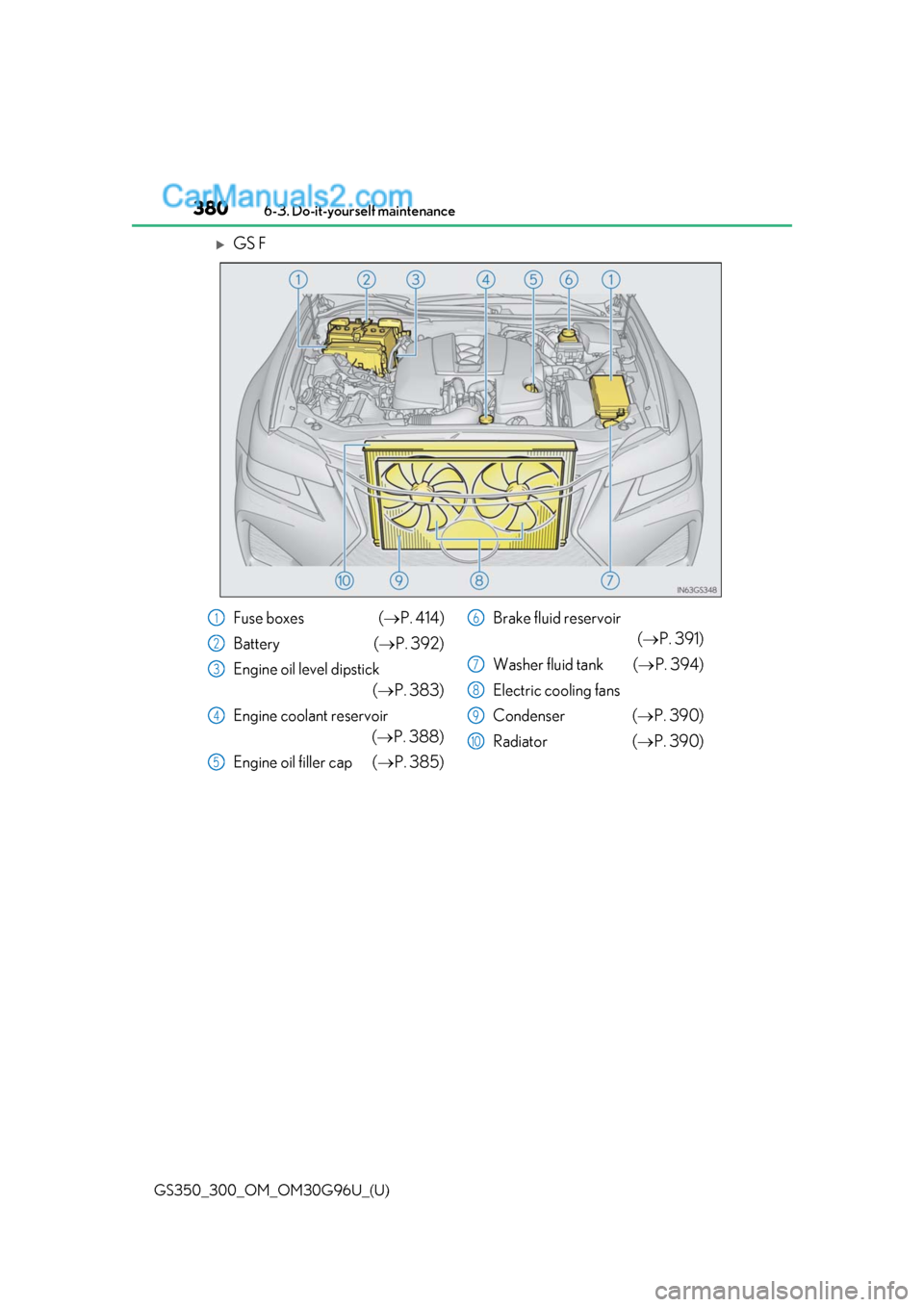 Lexus GS300 2019 Owners Manual 380
GS350_300_OM_OM30G96U_(U)6-3. Do-it-yourself maintenance
GS F
Fuse boxes (
P. 414)
Battery (P. 392)
Engine oil level dipstick (P. 383)
Engine coolant reservoir (P. 388)
Engine oil f Lexus GS300 2019 Owners Manual 380
GS350_300_OM_OM30G96U_(U)6-3. Do-it-yourself maintenance
GS F
Fuse boxes (
P. 414)
Battery (P. 392)
Engine oil level dipstick (P. 383)
Engine coolant reservoir (P. 388)
Engine oil f