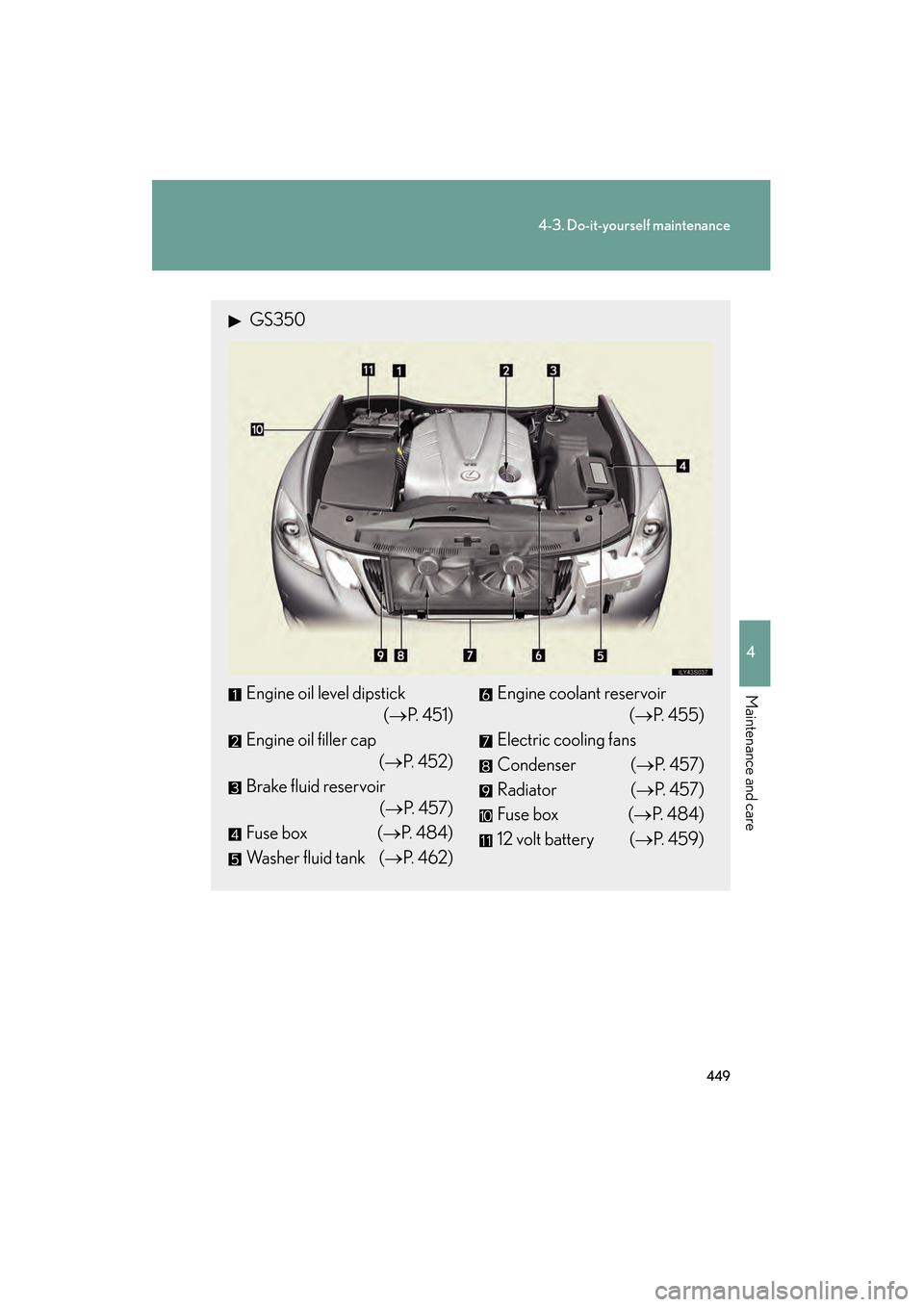 Lexus GS350 2010 Owners Manual 449
4-3. Do-it-yourself maintenance
4
Maintenance and care
GS_G_U (OM30C80U)
January 27, 2010 4:47 pm
GS350
Engine oil level dipstick(→P. 4 5 1 )
Engine oil filler cap (→P. 4 5 2 )
Brake fluid Lexus GS350 2010 Owners Manual 449
4-3. Do-it-yourself maintenance
4
Maintenance and care
GS_G_U (OM30C80U)
January 27, 2010 4:47 pm
GS350
Engine oil level dipstick(→P. 4 5 1 )
Engine oil filler cap (→P. 4 5 2 )
Brake fluid