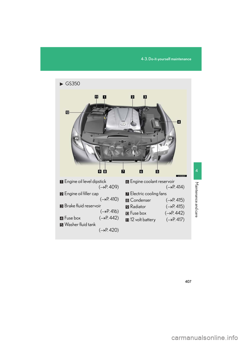 Lexus GS350 2008  Do-it-yourself maintenance / LEXUS 2008 GS460/350  (OM30A87U) Owners Guide 407
4-3. Do-it-yourself maintenance
4
Maintenance and care
GS_G_U
May 13, 2008 5:14 pm
 GS350
Engine oil level dipstick
( P.  4 0 9 )
Engine oil filler cap 
( P. 410)
Brake fluid reservoir