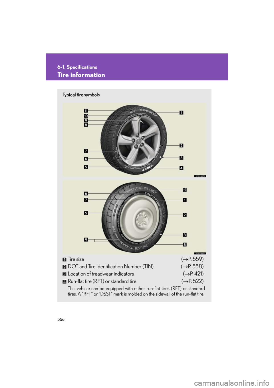 Lexus GS350 2008  Do-it-yourself maintenance / LEXUS 2008 GS460/350 OWNERS MANUAL (OM30A87U) 556
6-1. Specifications
GS_G_U
May 13, 2008 5:14 pm
Tire information
Ty p i c a l  t i r e  s y m b o l s
Tire size(P. 559)
DOT and Tire Identification Number (TIN) ( P.  5 5 8 )
Location of tre