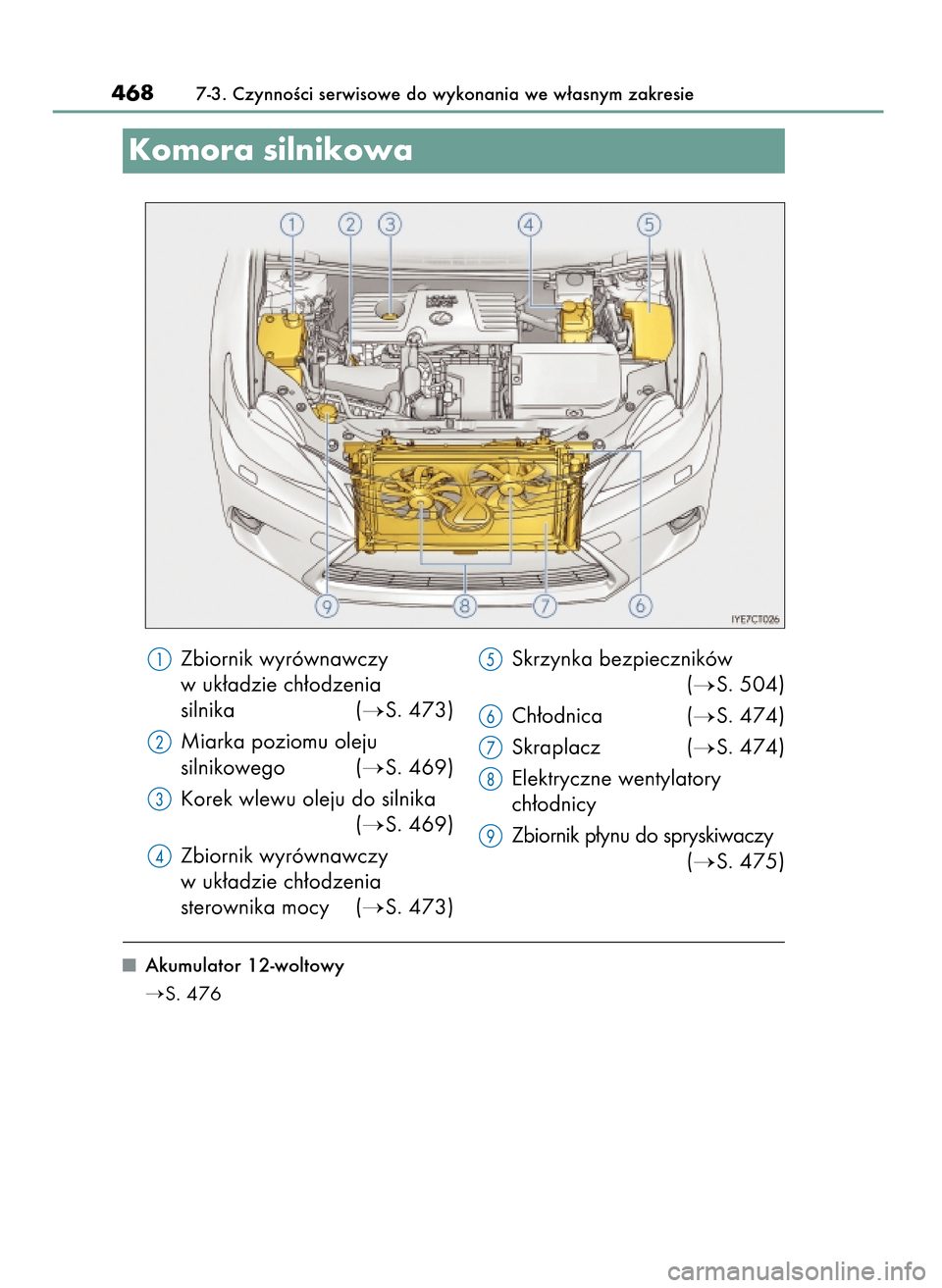 Lexus CT200h 2017  Instrukcja Obsługi (in Polish) Akumulator 12-woltowy
S. 476
4687-3. CzynnoÊci serwisowe do wykonania we w∏asnym zakresie
Zbiornik wyrównawczy
w uk∏adzie ch∏odzenia
silnika (
S. 473)
Miarka poziomu oleju
silnikowego (
S. 