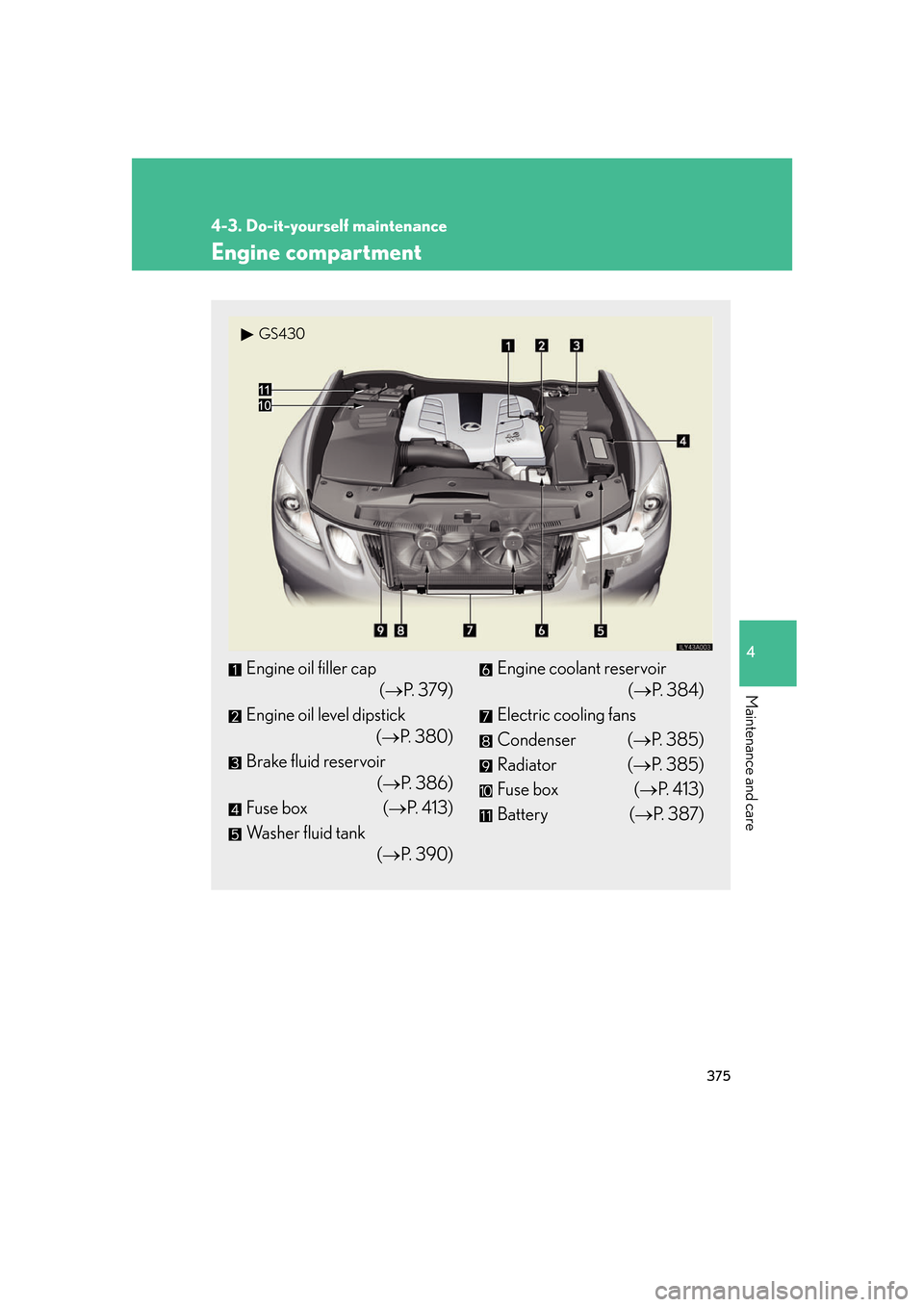 Lexus GS350 2007  Specifications / LEXUS 2007 GS430/350 OWNERS MANUAL (OM30A04U) 375
4-3. Do-it-yourself maintenance
4
Maintenance and care
Engine compartment
Engine oil filler cap
( P.  3 7 9 )
Engine oil level dipstick 
( P. 380)
Brake fluid reservoir (P. 386)
