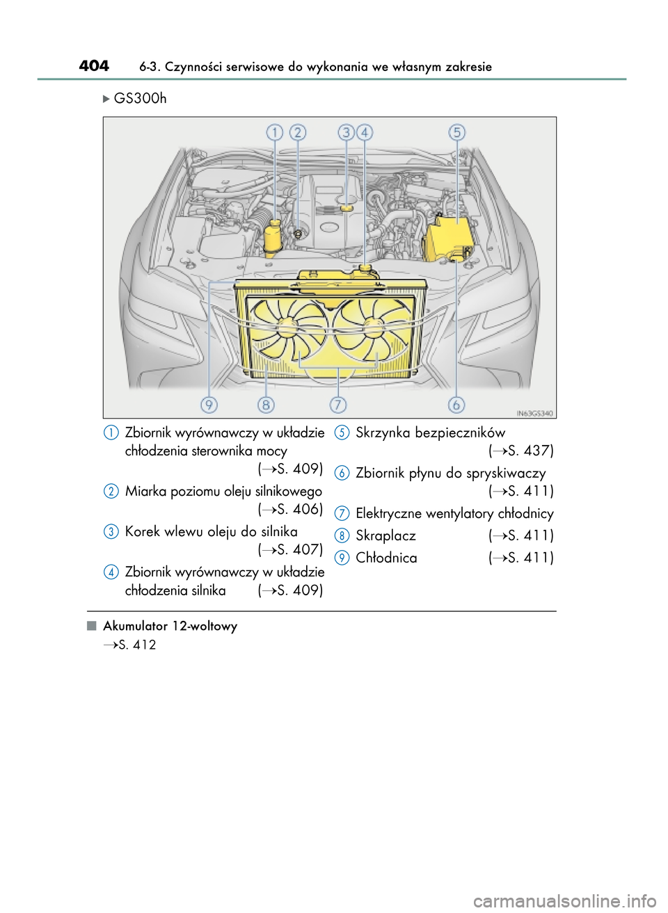 Lexus GS450h 2017  Instrukcja Obsługi (in Polish) ó GS300h
Akumulator 12-woltowy
S. 412
4046-3. CzynnoÊci serwisowe do wykonania we w∏asnym zakresie
Zbiornik wyrównawczy w uk∏adzie
ch∏odzenia sterownika mocy
(
S. 409)
Miarka poziomu oleju 