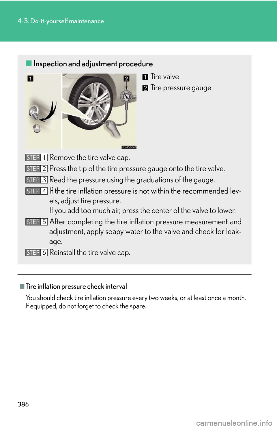 Lexus GS450h 2007 Scheduled Maintenance Guide / LEXUS 2007 GS450H THROUGH JUNE 2006 PROD. OWNERS MANUAL (OM30727U) 386
4-3. Do-it-yourself maintenance
.
■Tire inflation pressure check interval
You should check tire inflation pressure every two weeks, or at least once a month.
If equipped, do not forget to che Lexus GS450h 2007 Scheduled Maintenance Guide / LEXUS 2007 GS450H THROUGH JUNE 2006 PROD. OWNERS MANUAL (OM30727U) 386
4-3. Do-it-yourself maintenance
.
■Tire inflation pressure check interval
You should check tire inflation pressure every two weeks, or at least once a month.
If equipped, do not forget to che