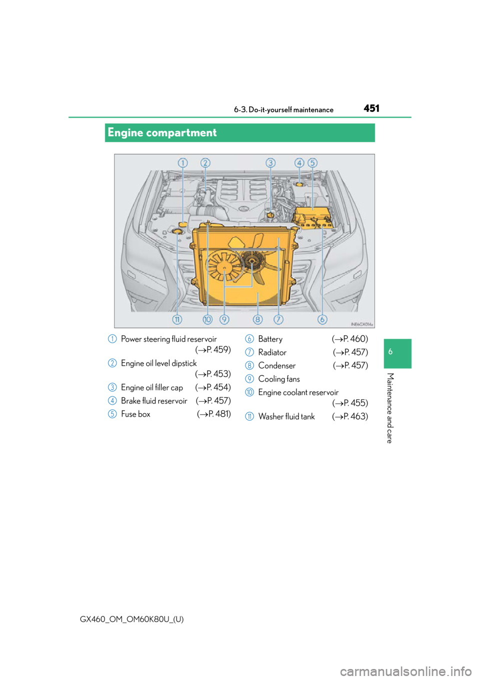 Lexus GX460 2014  Opening, closing and locking the doors and trunk / LEXUS 2014 GX460 OWNERS MANUAL (OM60K80U) 451
GX460_OM_OM60K80U_(U)6-3. Do-it-yourself maintenance
6
Maintenance and care
Engine compartment
Power steering fluid reservoir
(P.  4 5 9 )
Engine oil level dipstick (P.  4 5 3 )
Engine oil f