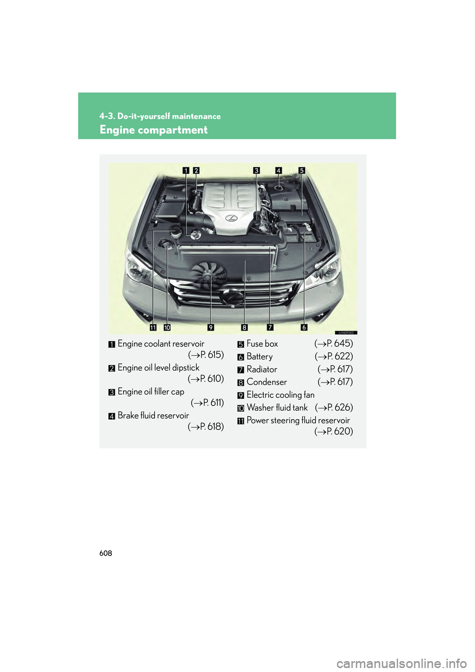 Lexus GX460 2010  Owners Manual 608
4-3. Do-it-yourself maintenance
GX460_CANADA (OM60F29U)
Engine compartment
Engine coolant reservoir(→P. 615)
Engine oil level dipstick (→P.  6 1 0 )
Engine oil filler cap (→P.  6 1 1 )
Brake
