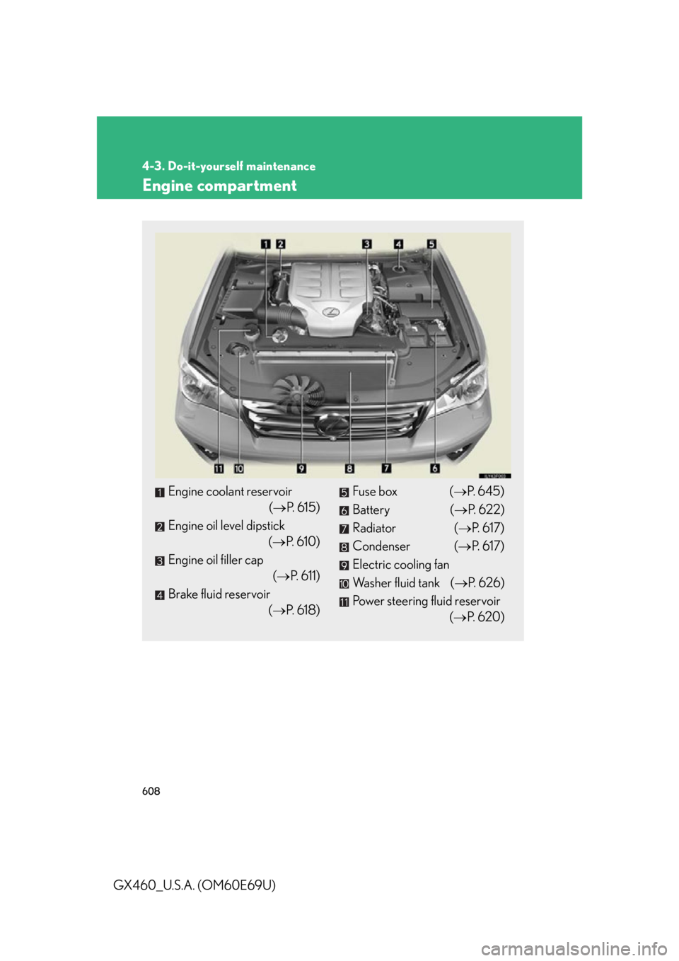 Lexus GX460 2010  Using The Bluetooth Audio System / 608
4-3. Do-it-yourself maintenance
GX460_U.S.A. (OM60E69U)
Engine compartment
Engine coolant reservoir
( P. 615)
Engine oil level dipstick 
( P. 610)
Engine oil filler cap 
( P. 611