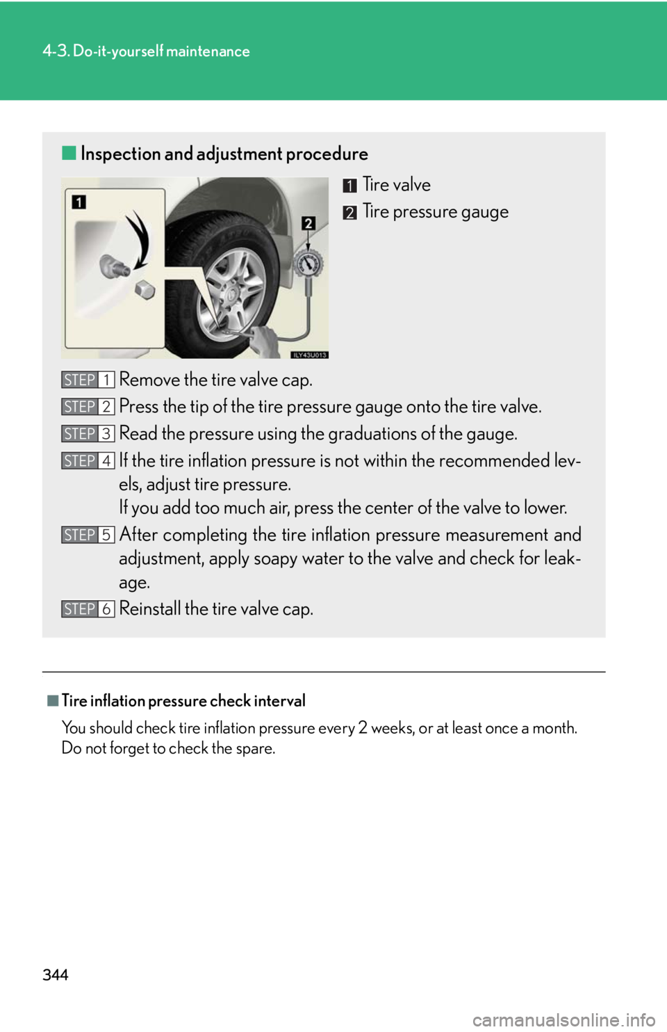 Lexus GX470 2008 Refueling / LEXUS 2008 GX470 OWNERS MANUAL (OM60D82U) 344
4-3. Do-it-yourself maintenance
.
■Tire inflation pressure check interval
You should check tire inflation pressure every 2 weeks, or at least once a month.
Do not forget to check the spare.
■I Lexus GX470 2008 Refueling / LEXUS 2008 GX470 OWNERS MANUAL (OM60D82U) 344
4-3. Do-it-yourself maintenance
.
■Tire inflation pressure check interval
You should check tire inflation pressure every 2 weeks, or at least once a month.
Do not forget to check the spare.
■I