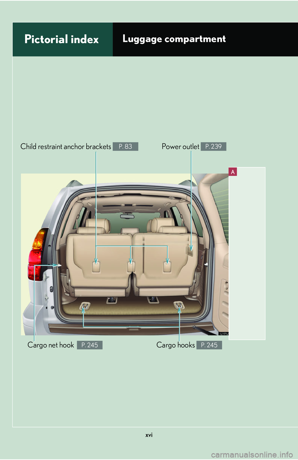 Lexus GX470 2007  Air Conditioning / LEXUS 2007 GX470  (OM60C64U) User Guide xvi
A
Pictorial indexLuggage compartment 
Cargo hooks P. 245Cargo net hook  P. 245
Child restraint anchor brackets P. 83Power outlet P. 239 