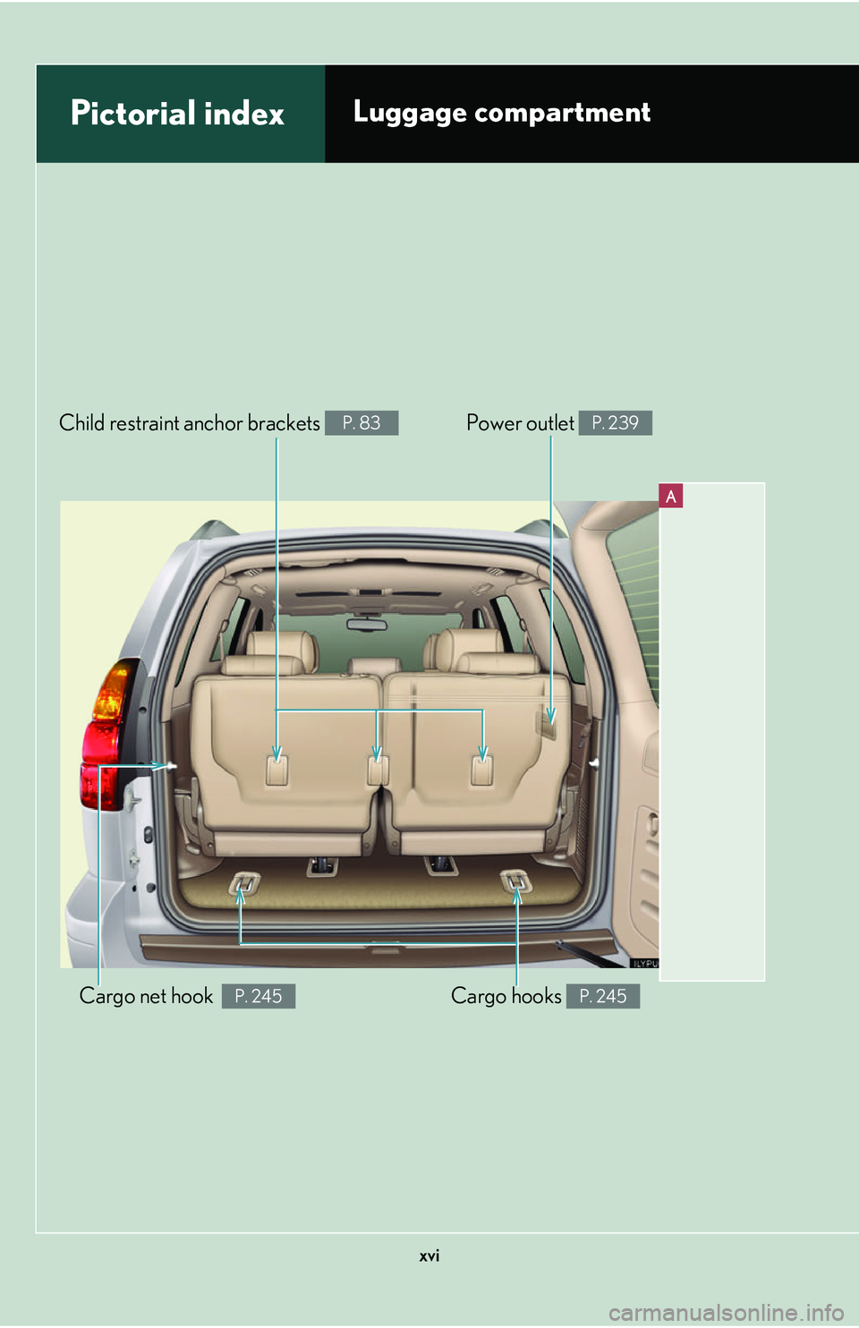 Lexus GX470 2007  Theft deterrent system / LEXUS 2007 GX470  (OM60C64U) User Guide xvi
A
Pictorial indexLuggage compartment 
Cargo hooks P. 245Cargo net hook  P. 245
Child restraint anchor brackets P. 83Power outlet P. 239 