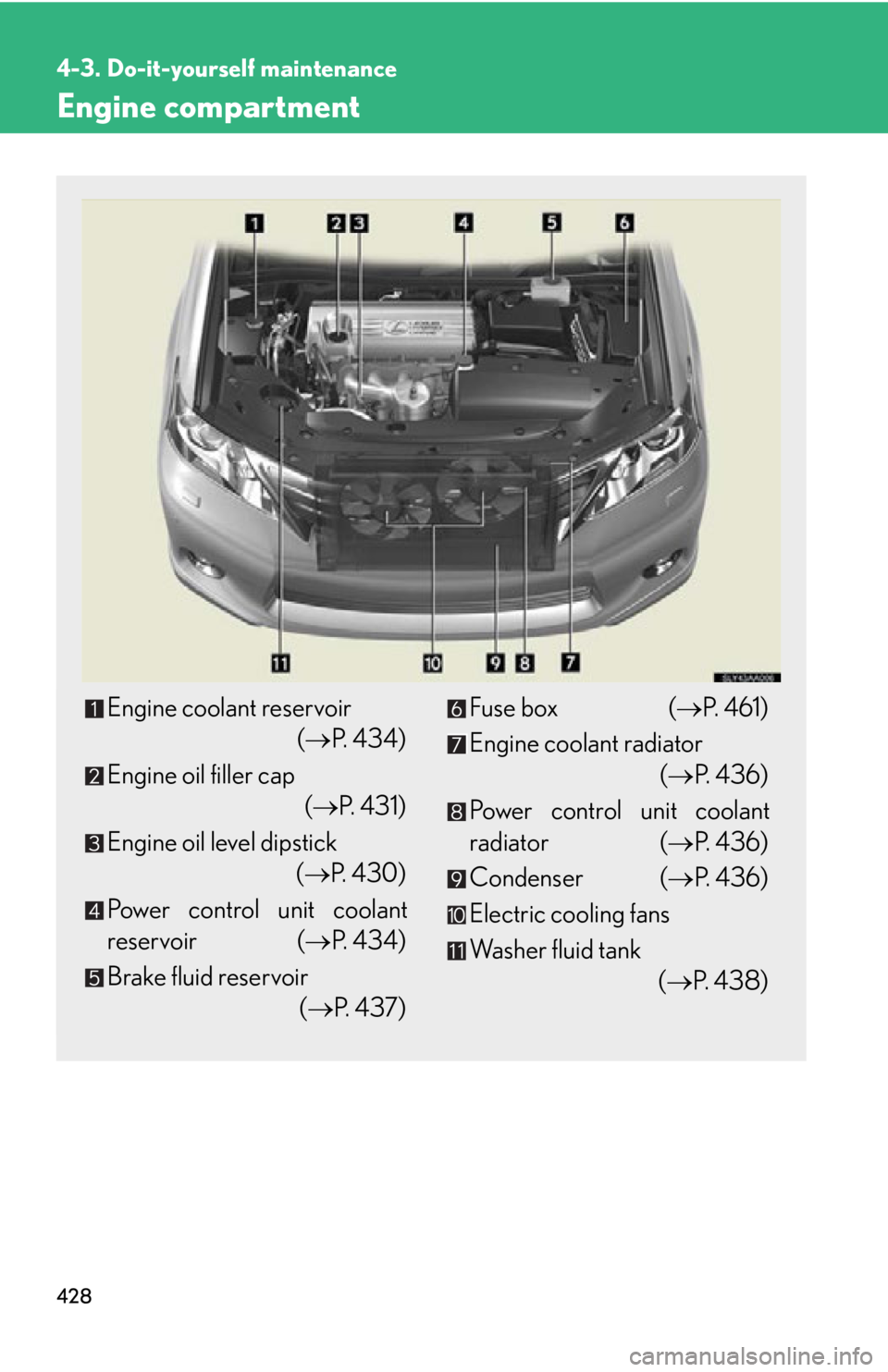 Lexus HS250h 2011  Do-it-yourself maintenance / LEXUS 2011 HS250H OWNERS MANUAL (OM75037U) 428
4-3. Do-it-yourself maintenance
Engine compartment
Engine coolant reservoir (P.  4 3 4 )
Engine oil filler cap (P.  4 3 1 )
Engine oil level dipstick  (P. 430)
Power control unit coolant
