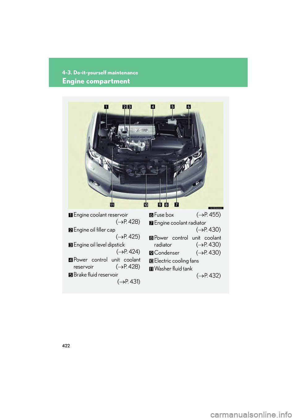 Lexus HS250h 2010  Owners Manual 422
4-3. Do-it-yourself maintenance
HS250h_U_75033U(Canada)
Engine compartment
Engine coolant reservoir (→P.  4 2 8 )
Engine oil filler cap (→P. 425)
Engine oil level dipstick  (→P.  4 2 4 )
Pow