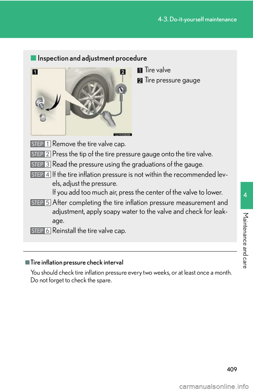 Lexus IS F 2011  Instrument Cluster / LEXUS 2011 IS F OWNERS MANUAL (OM53893U) 409
4-3. Do-it-yourself maintenance
4
Maintenance and care
■Tire inflation pressure check interval
You should check tire inflation pressure every two weeks, or at least once a month.
Do not forget t