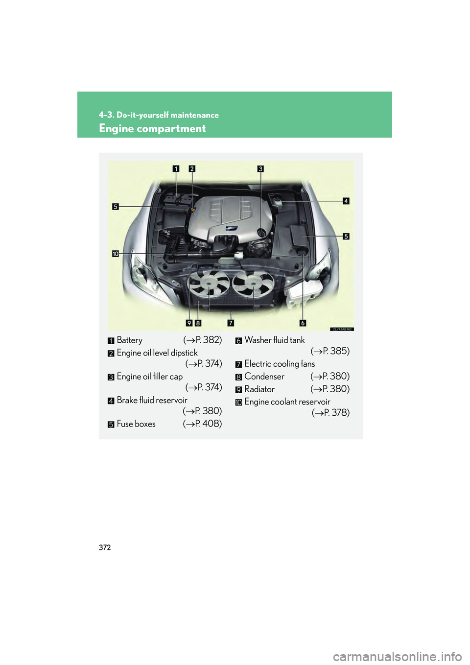 Lexus IS F 2010  Owners Manual 372
4-3. Do-it-yourself maintenance
10_IS F_U
Engine compartment
Battery (→P. 382)
Engine oil level dipstick (→P.  3 74 )
Engine oil filler cap (→P.  3 74 )
Brake fluid reservoir (→P. 380)
Fus