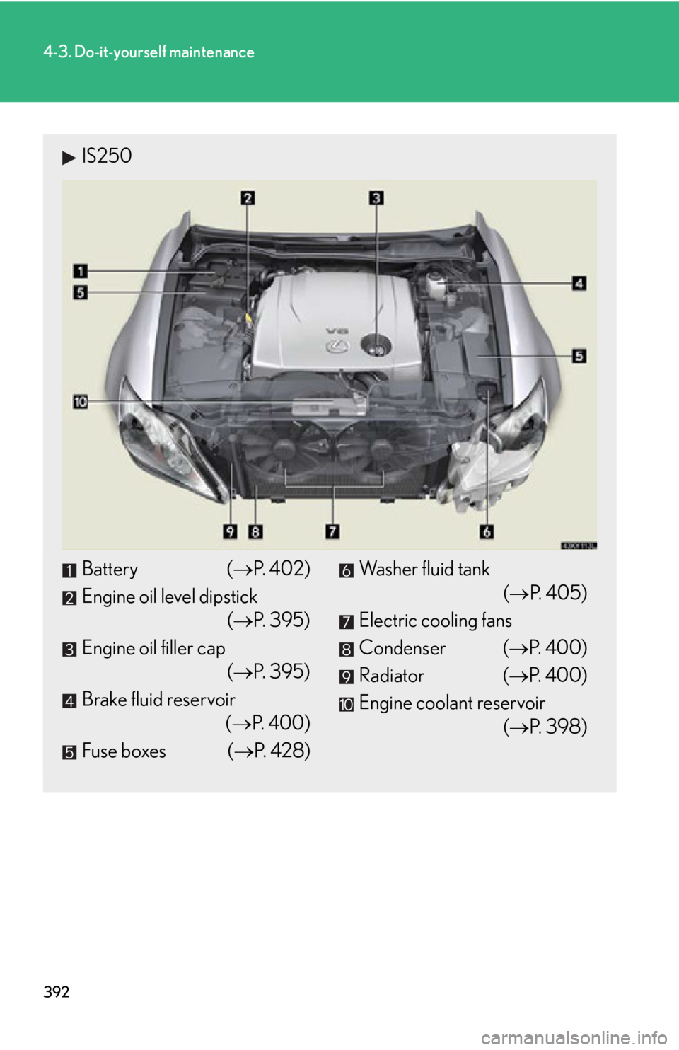 Lexus IS250 2013  Owners Manual / LEXUS 2013 IS250,IS350 OWNERS MANUAL (OM53B64U) 392
4-3. Do-it-yourself maintenance
IS250
Battery (P.  4 0 2 )
Engine oil level dipstick (P. 395)
Engine oil filler cap (P. 395)
Brake fluid reservoir (P. 400)
Fuse boxes ( P.  4 2 8 )W