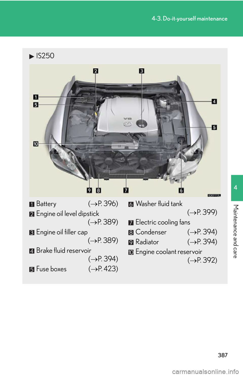 Lexus IS250 2011 Opening, Closing And Locking The Doors And Trunk / LEXUS 2011 IS250/IS350 OWNERS MANUAL (OM53839U) 387
4-3. Do-it-yourself maintenance
4
Maintenance and care
IS250
Battery (P. 396)
Engine oil level dipstick ( P. 389)
Engine oil filler cap ( P. 389)
Brake fluid reservoir (P. 394)
Fuse bo Lexus IS250 2011 Opening, Closing And Locking The Doors And Trunk / LEXUS 2011 IS250/IS350 OWNERS MANUAL (OM53839U) 387
4-3. Do-it-yourself maintenance
4
Maintenance and care
IS250
Battery (P. 396)
Engine oil level dipstick ( P. 389)
Engine oil filler cap ( P. 389)
Brake fluid reservoir (P. 394)
Fuse bo