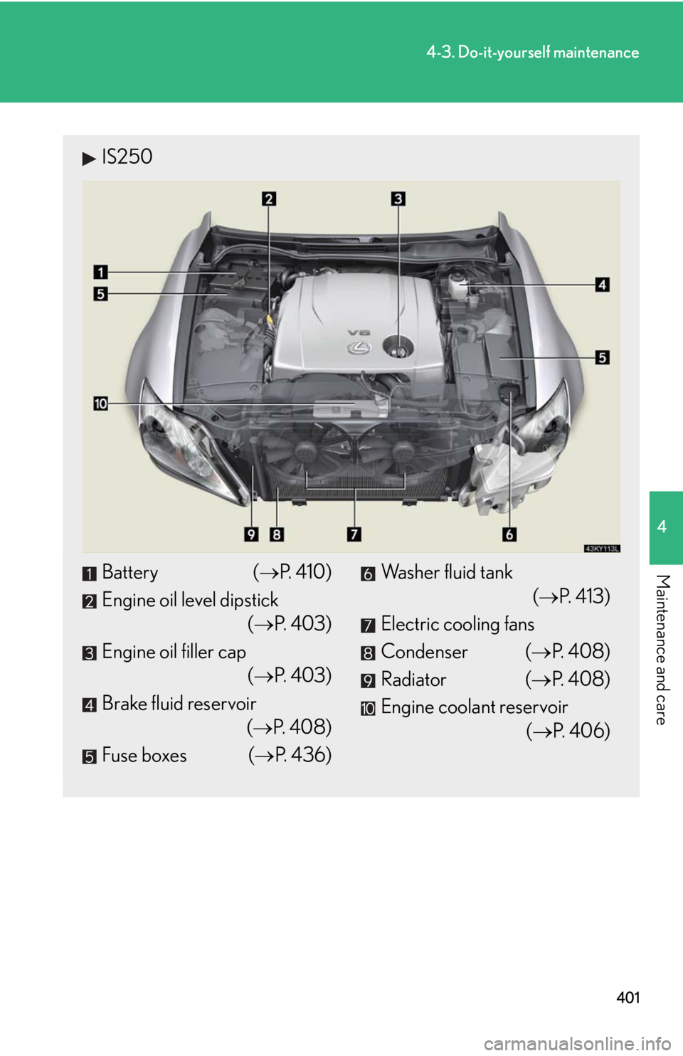 Lexus IS250 2010  Do-It-Yourself Maintenance / LEXUS 2010 IS350 IS250 OWNERS MANUAL (OM53A23U) 401
4-3. Do-it-yourself maintenance
4
Maintenance and care
IS250
Battery (P. 410)
Engine oil level dipstick
(P. 403)
Engine oil filler cap
(P. 403)
Brake fluid reservoir
(P.  4 0 8 )
Fuse 