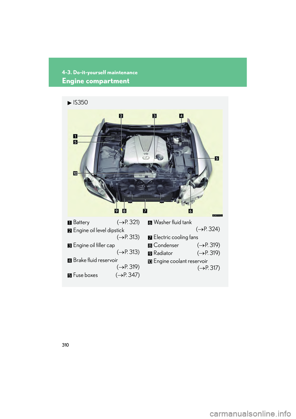 Lexus IS250 2009  Owners Manual 310
4-3. Do-it-yourself maintenance
08_IS350/250_U_(L/O_0808)
Engine compartment
IS350
Battery (P. 321)
Engine oil level dipstick (P. 313)
Engine oil filler cap (P. 313)
Brake fluid reservoir (P. 