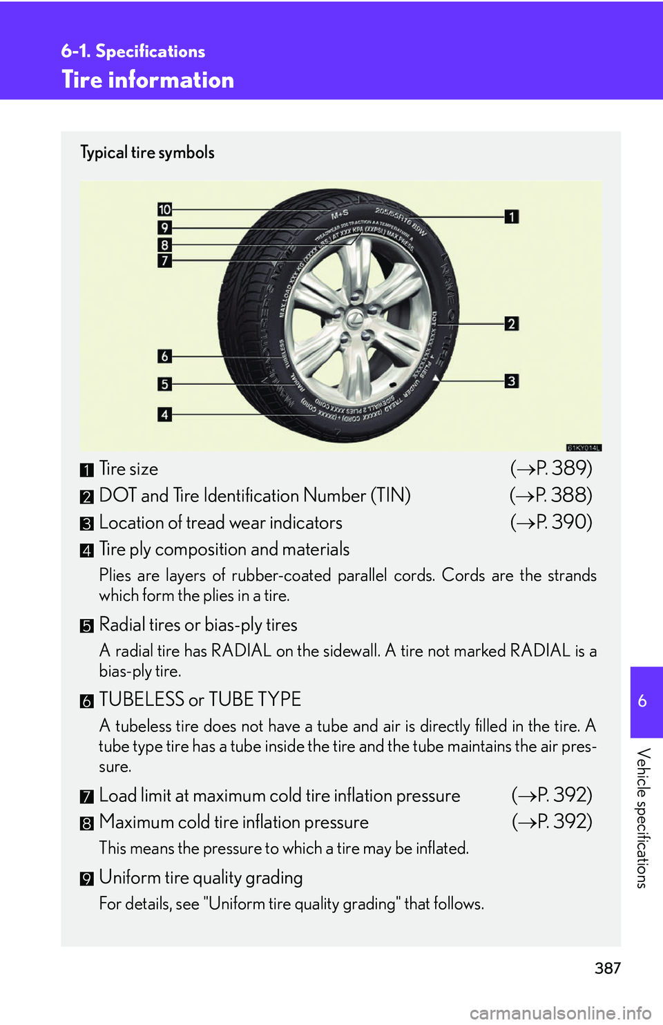 Lexus IS250 2006  Other Functions / LEXUS 2006 IS350/250 THROUGH APRIL 2006 PROD. OWNERS MANUAL (OM53508U) 387
6-1. Specifications
6
Vehicle specifications
Tire information
Ty p i c a l  t i r e  s y m b o l s
Tire size(P. 389)
DOT and Tire Identification Number (TIN) ( P. 388)
Location of tread wear