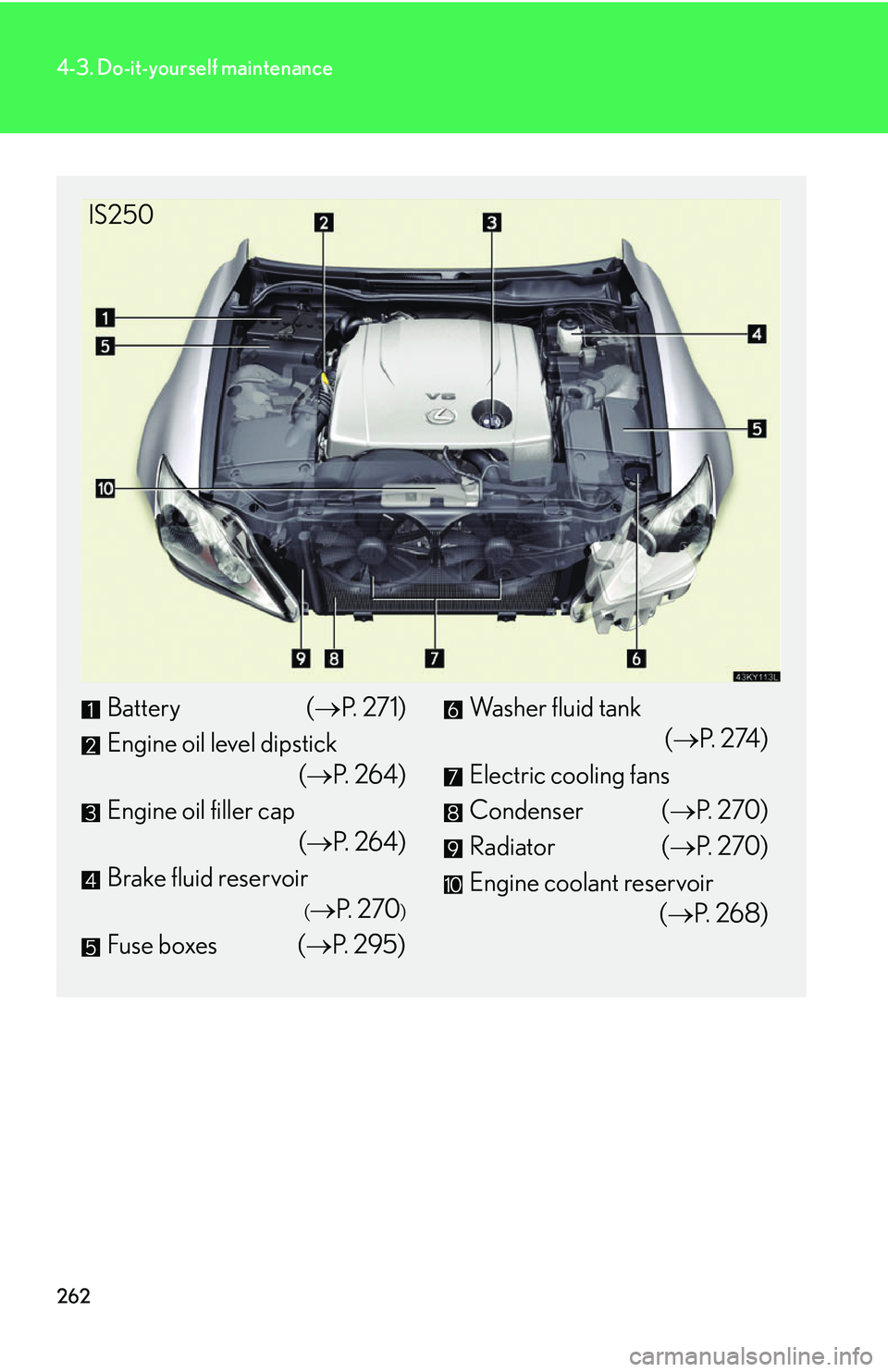Lexus IS250 2006 Opening, closing and locking the doors and trunk / LEXUS 2006 IS350/250 THROUGH APRIL 2006 PROD. OWNERS MANUAL (OM53508U) 262
4-3. Do-it-yourself maintenance
Battery (P. 271)
Engine oil level dipstick (P. 2 6 4 )
Engine oil filler cap (P. 2 6 4 )
Brake fluid reservoir
( P. 2 7 0)
Fuse boxes ( P. 295)
Wa Lexus IS250 2006 Opening, closing and locking the doors and trunk / LEXUS 2006 IS350/250 THROUGH APRIL 2006 PROD. OWNERS MANUAL (OM53508U) 262
4-3. Do-it-yourself maintenance
Battery (P. 271)
Engine oil level dipstick (P. 2 6 4 )
Engine oil filler cap (P. 2 6 4 )
Brake fluid reservoir
( P. 2 7 0)
Fuse boxes ( P. 295)
Wa
