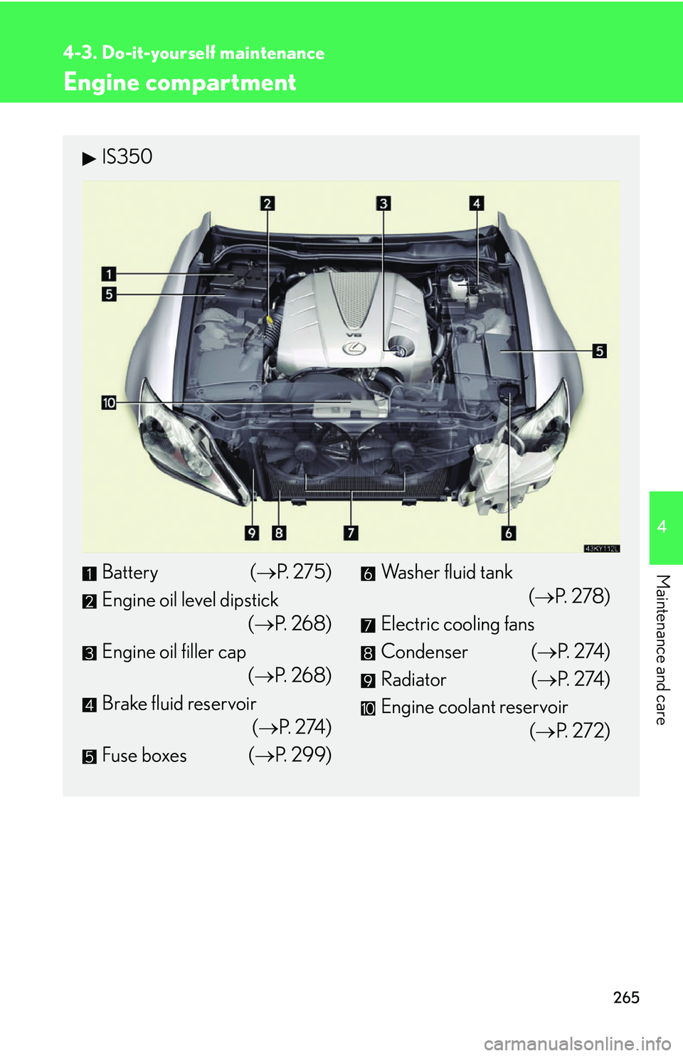 Lexus IS350 2006  Scheduled Maintenance Guide / LEXUS 2006 IS350/250 FROM MAY 2006 PROD. OWNERS MANUAL (OM53619U) 265
4-3. Do-it-yourself maintenance
4
Maintenance and care
Engine compartment
IS350
Battery (P. 275)
Engine oil level dipstick (P.  2 6 8 )
Engine oil filler cap (P.  2 6 8 )
Brake fluid rese