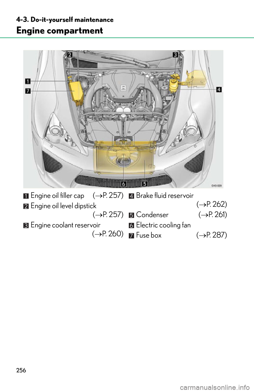 lexus LFA 2012  Owners Manual / LEXUS 2012 LFA OWNERS MANUAL (OM77006U) 256
4-3. Do-it-yourself maintenance
Engine compartment
Engine oil filler cap (P.  2 5 7 )
Engine oil level dipstick ( P.  2 5 7 )
Engine coolant reservoir (P. 260) Brake fluid reservoir
(P