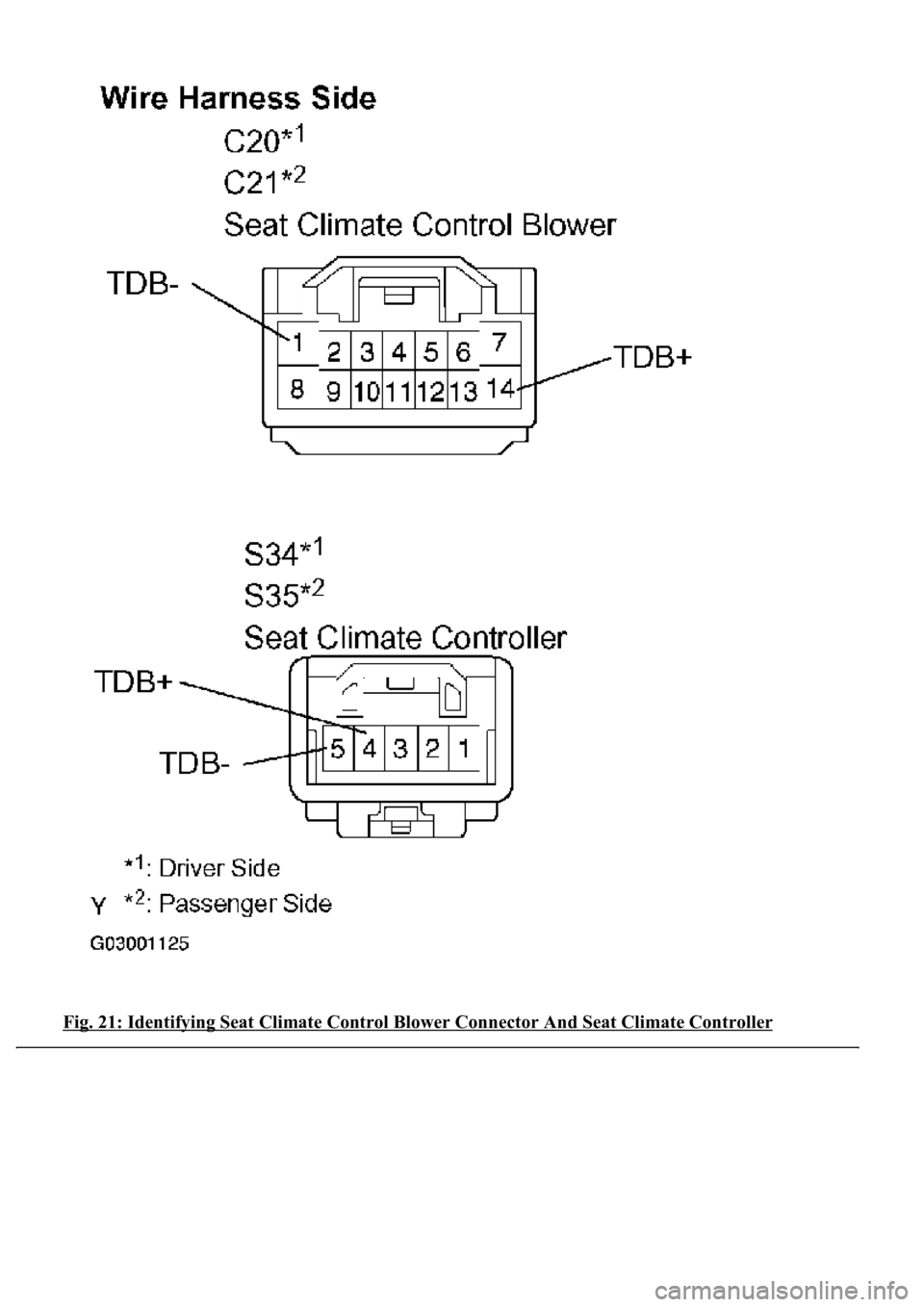 LEXUS LS430 2003  Factory Repair Manual Fig. 21: Identifying Seat Climate Control Blower Connector And Seat Climate Controller  