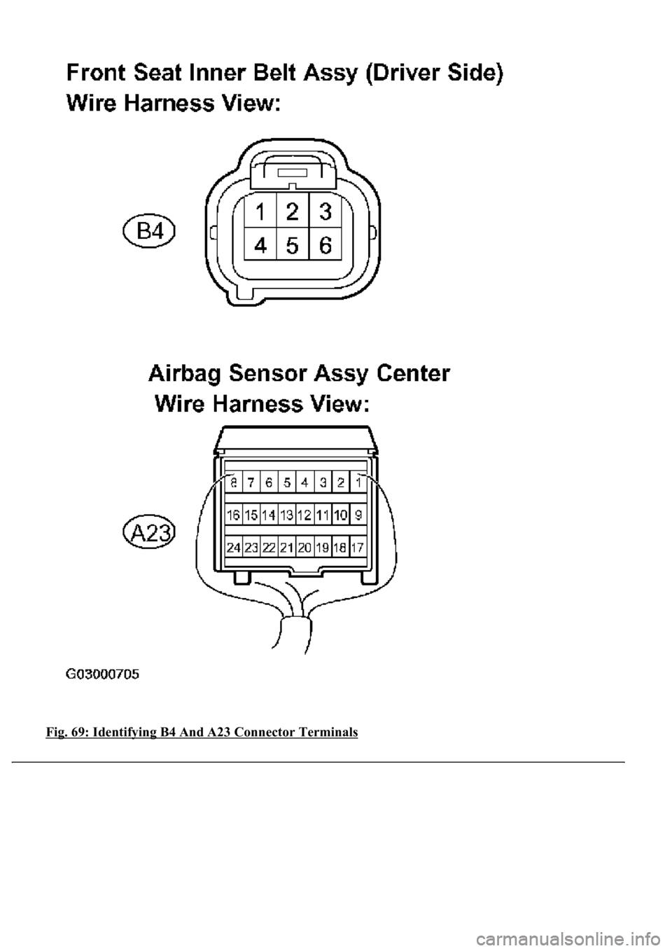 LEXUS LS430 2003  Factory Repair Manual Fig. 69: Identifying B4 And A23 Connector Terminals 
