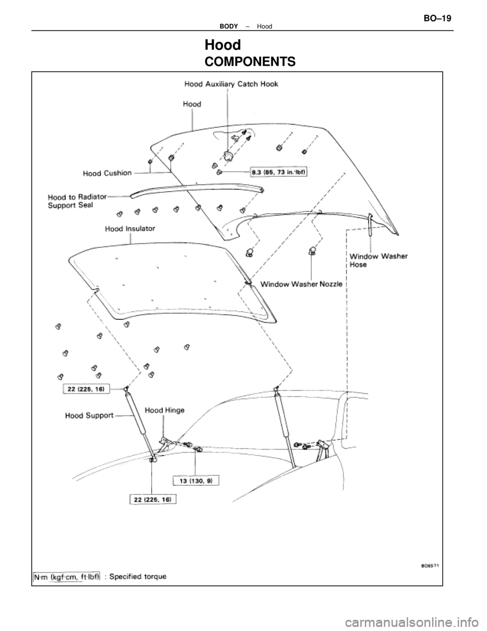 LEXUS SC400 1991  Service Repair Manual 
Hood
COMPONENTS
±
BODY HoodBO±19 
WhereEverybodyKnowsYourName  