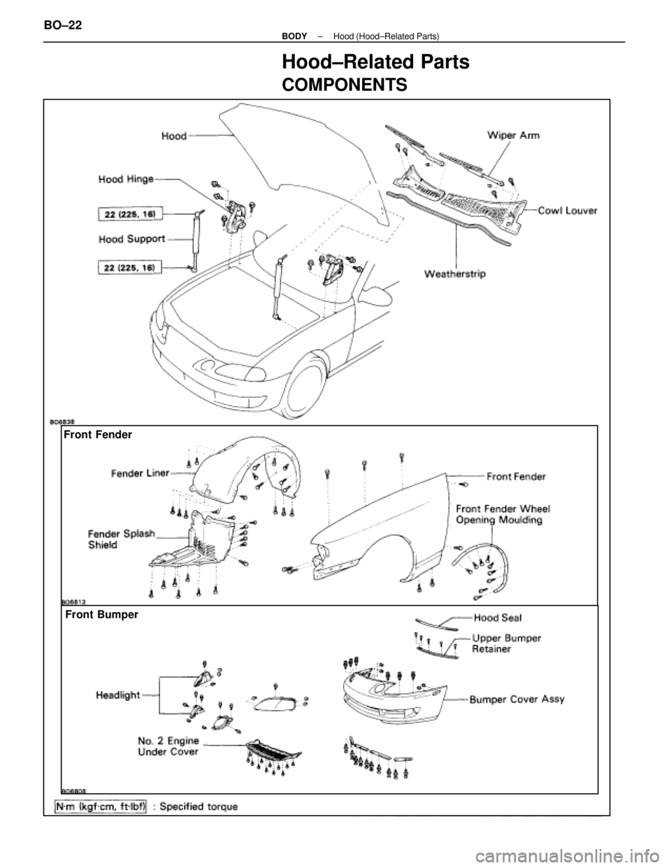 LEXUS SC400 1991  Service Repair Manual 
Hood±Related Parts
COMPONENTS
Front FenderFront Bumper
BO±22±
BODY Hood (Hood±Related Parts) 
WhereEverybodyKnowsYourName  