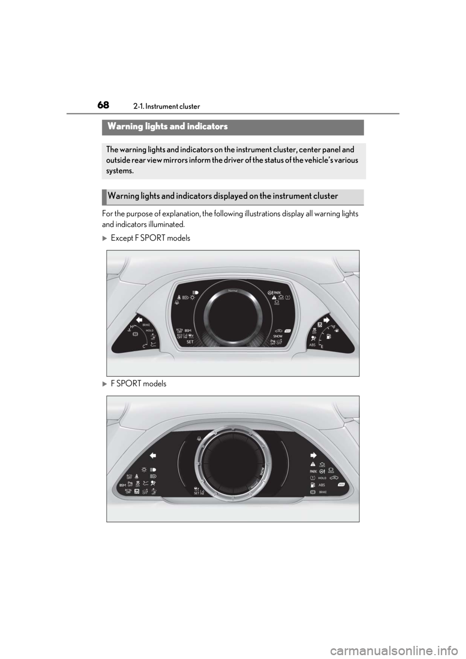 LEXUS LS500 2020  Owners Manual 682-1. Instrument cluster
2-1.Instrument cluster
For the purpose of explanation, the following illustrations display all warning lights 
and indicators illuminated.
Except F SPORT models
F SPORT