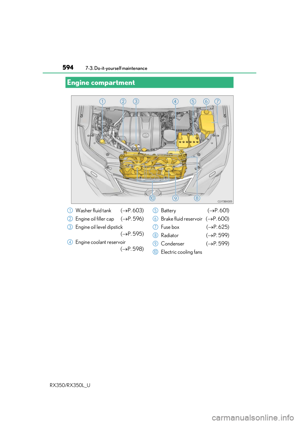LEXUS RX350L 2019 Owners Manual 5947-3. Do-it-yourself maintenance
RX350/RX350L_U
Engine compartment
Washer fluid tank  ( P. 603)
Engine oil filler cap  ( P. 596)
Engine oil level dipstick  (P. 595)
Engine coolant reservoir