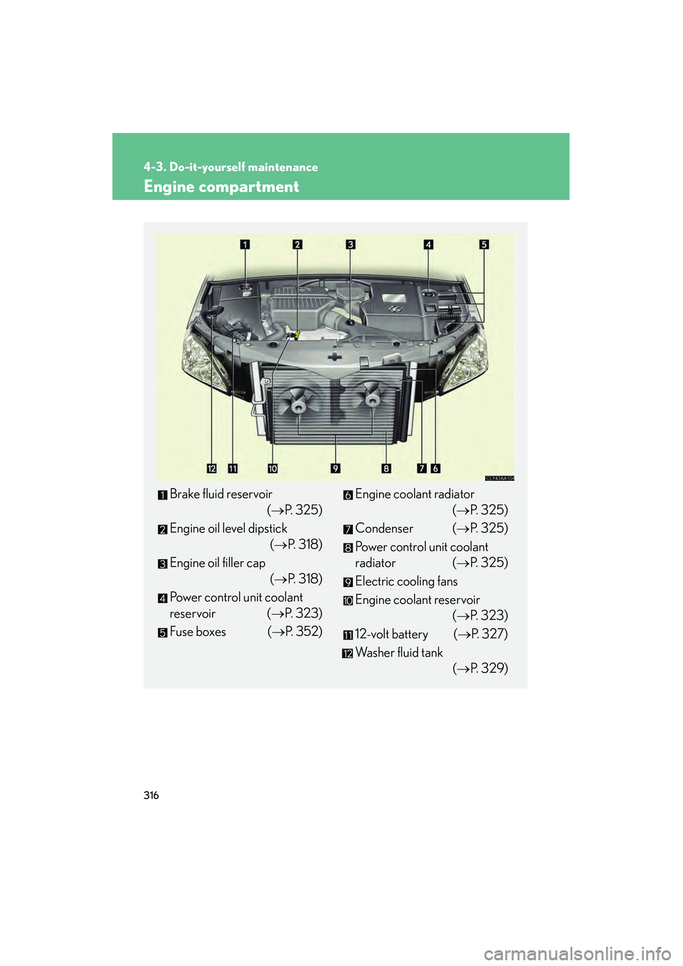 LEXUS RX400H 2008  Owners Manual 316
4-3. Do-it-yourself maintenance
RX400h_U
Engine compartment
Brake fluid reservoir(→P. 325)
Engine oil level dipstick (→P. 318)
Engine oil filler cap (→P. 318)
Power control unit coolant 
res