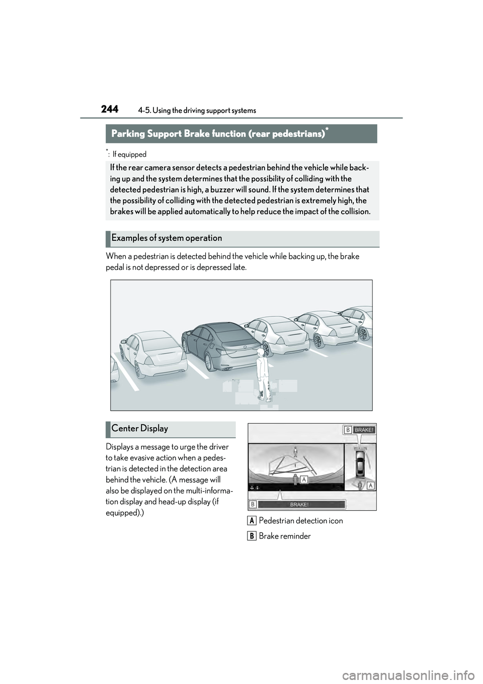 LEXUS ES350 2022  Owners Manual 2444-5. Using the driving support systems
*: If equipped
When a pedestrian is detected behind the vehicle while backing up, the brake 
pedal is not depressed or is depressed late.
Displays a message t