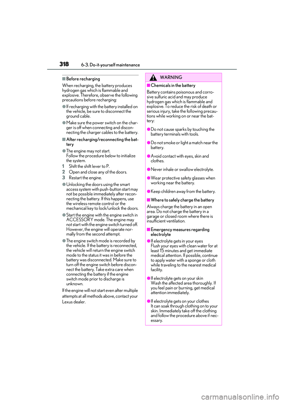 LEXUS ES350 2022  Owners Manual 3186-3. Do-it-yourself maintenance
■Before recharging
When recharging, the battery produces 
hydrogen gas which is flammable and 
explosive. Therefore, observe the following 
precautions before rech