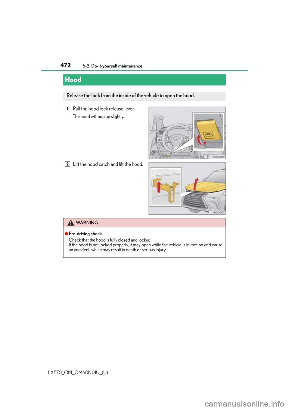 LEXUS LX570 2016  Owners Manual 472
LX570_OM_OM60N01U_(U) 6-3. Do-it-yourself maintenance
Hood Pull the hood lock release lever. The hood will pop up slightly.
Lift the hood catch and lift the hood.Release the lock from the inside o