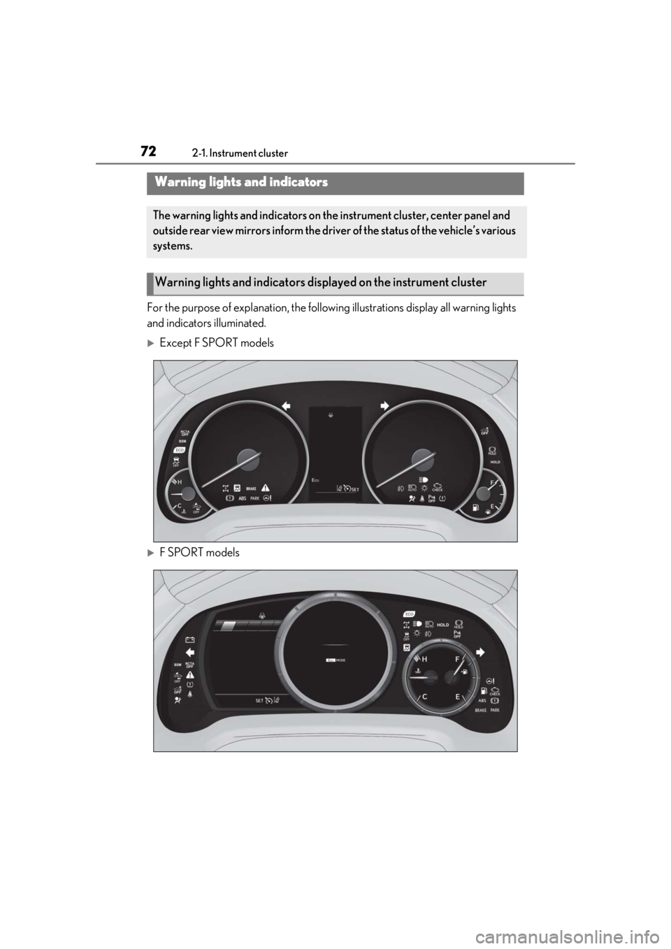 LEXUS RX350 2021  Owners Manual 722-1. Instrument cluster
2-1.Instrument cluster
For the purpose of explanation, the following illustrations display all warning lights 
and indicators illuminated.
Except F SPORT models
F SPORT