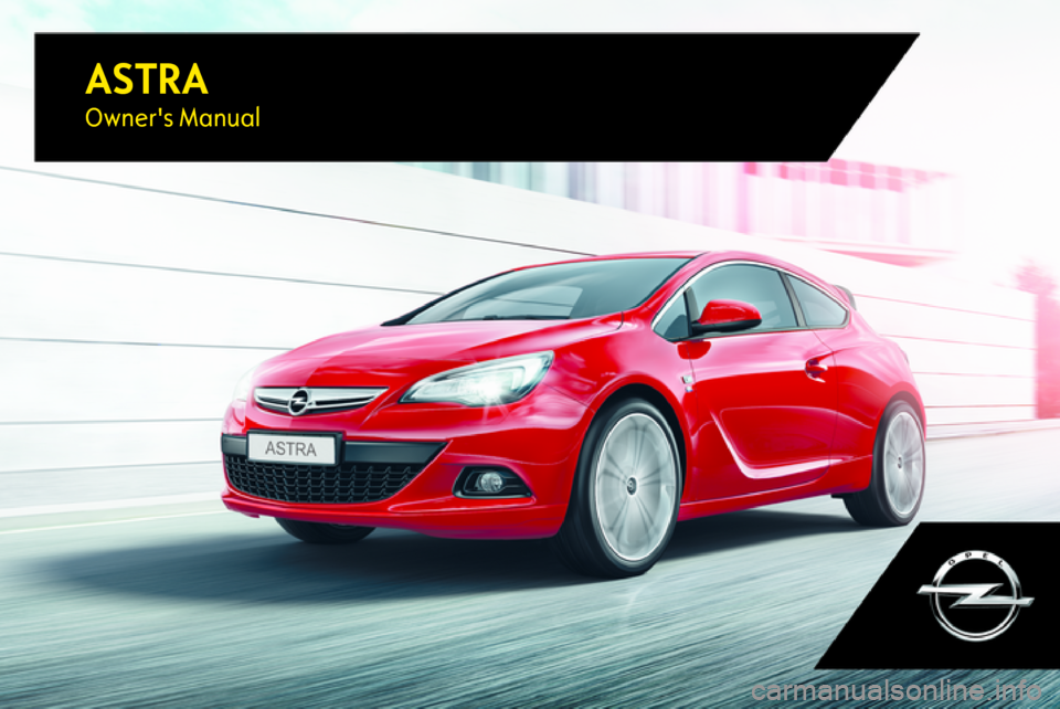 OPEL ASTRA J 2017  Manual user ASTRAOwners Manual 