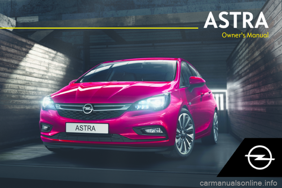OPEL ASTRA K 2018.5  Owners Manual 