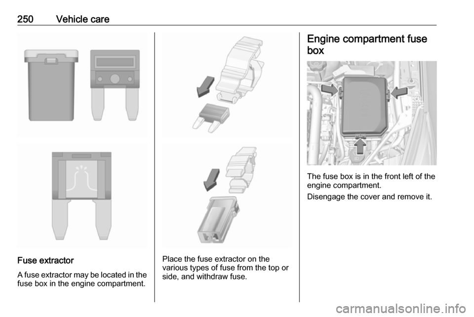 OPEL ASTRA K 2018.75  Manual user 250Vehicle care
Fuse extractorA fuse extractor may be located in the fuse box in the engine compartment.Place the fuse extractor on the
various types of fuse from the top or
side, and withdraw fuse.
E