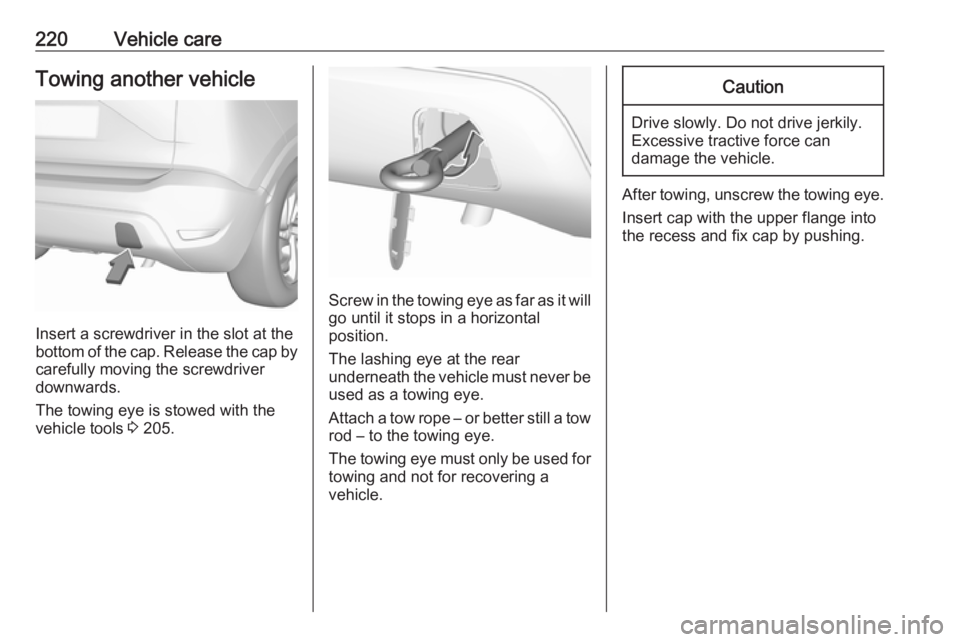 OPEL CROSSLAND X 2018  Owners Manual 220Vehicle careTowing another vehicle
Insert a screwdriver in the slot at the
bottom of the cap. Release the cap by carefully moving the screwdriver
downwards.
The towing eye is stowed with the vehicl