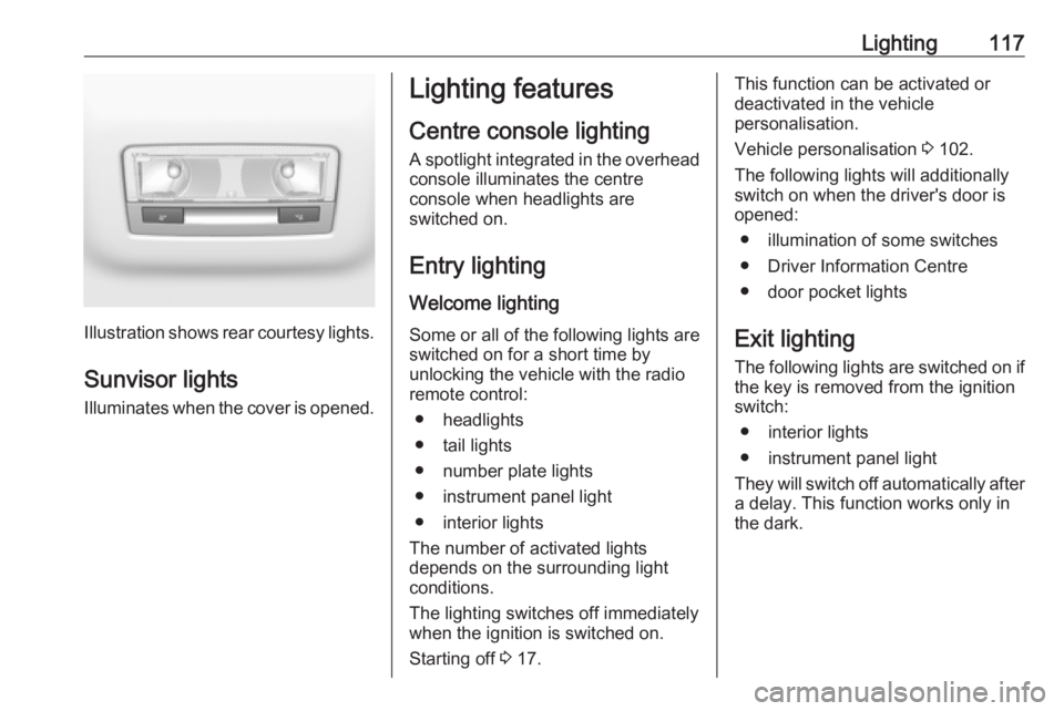 OPEL CROSSLAND X 2019 Manual user Lighting117
Illustration shows rear courtesy lights.
Sunvisor lights Illuminates when the cover is opened.
Lighting features
Centre console lighting A spotlight integrated in the overheadconsole illum OPEL CROSSLAND X 2019 Manual user Lighting117
Illustration shows rear courtesy lights.
Sunvisor lights Illuminates when the cover is opened.
Lighting features
Centre console lighting A spotlight integrated in the overheadconsole illum