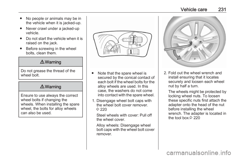 OPEL GRANDLAND X 2018.5  Owners Manual Vehicle care231● No people or animals may be inthe vehicle when it is jacked-up.
● Never crawl under a jacked-up vehicle.
● Do not start the vehicle when it is
raised on the jack.
● Before scr