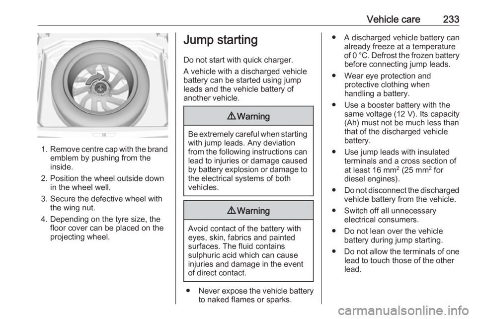 OPEL GRANDLAND X 2018.75 Manual user Vehicle care233
1.Remove centre cap with the brand
emblem by pushing from the
inside.
2. Position the wheel outside down in the wheel well.
3. Secure the defective wheel with the wing nut.
4. Dependin OPEL GRANDLAND X 2018.75 Manual user Vehicle care233
1.Remove centre cap with the brand
emblem by pushing from the
inside.
2. Position the wheel outside down in the wheel well.
3. Secure the defective wheel with the wing nut.
4. Dependin
