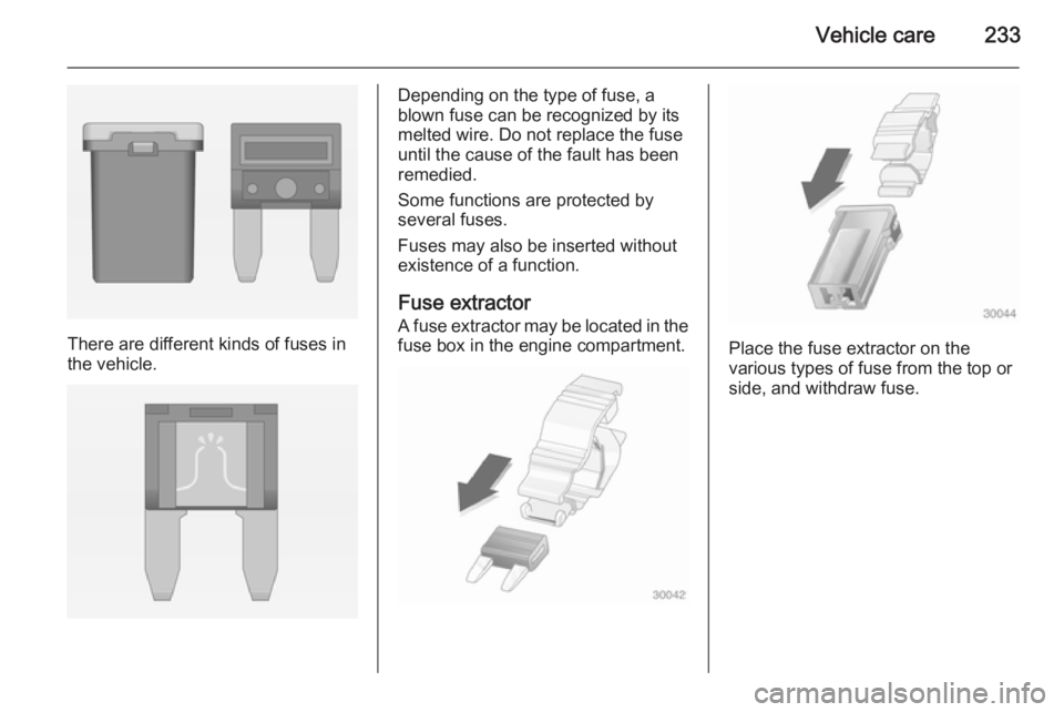 OPEL INSIGNIA 2014 Owners Manual Vehicle care233
There are different kinds of fuses in
the vehicle.
Depending on the type of fuse, a
blown fuse can be recognized by its
melted wire. Do not replace the fuse until the cause of the faul OPEL INSIGNIA 2014 Owners Manual Vehicle care233
There are different kinds of fuses in
the vehicle.
Depending on the type of fuse, a
blown fuse can be recognized by its
melted wire. Do not replace the fuse until the cause of the faul