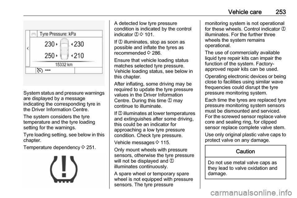 OPEL INSIGNIA BREAK 2017.5  Manual user Vehicle care253
System status and pressure warnings
are displayed by a message
indicating the corresponding tyre in the Driver Information Centre.
The system considers the tyre
temperature and the tyr