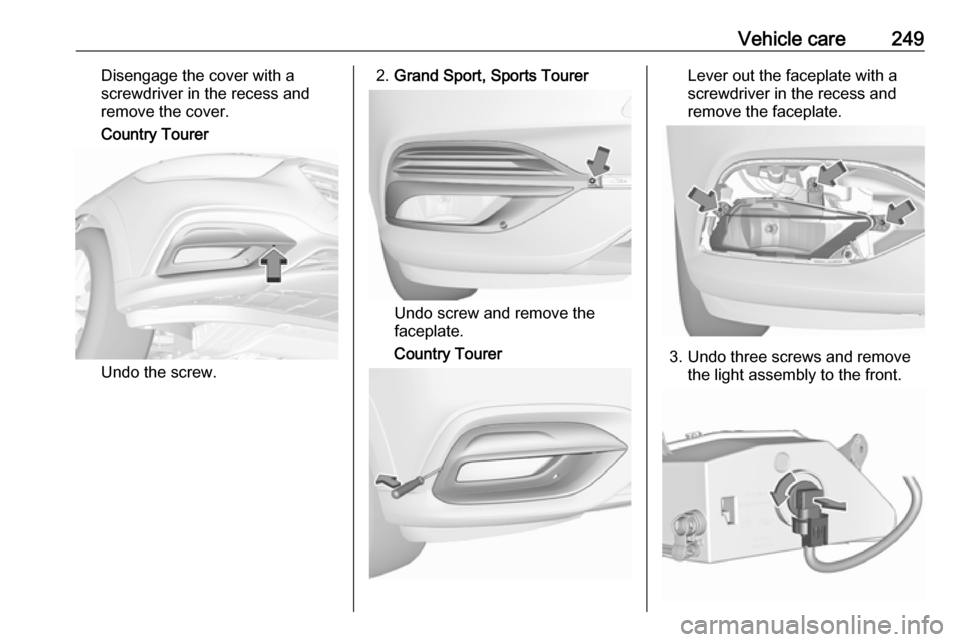 OPEL INSIGNIA BREAK 2018  Owners Manual Vehicle care249Disengage the cover with a
screwdriver in the recess and
remove the cover.
Country Tourer
Undo the screw.
2. Grand Sport, Sports Tourer
Undo screw and remove the
faceplate.
Country Tour