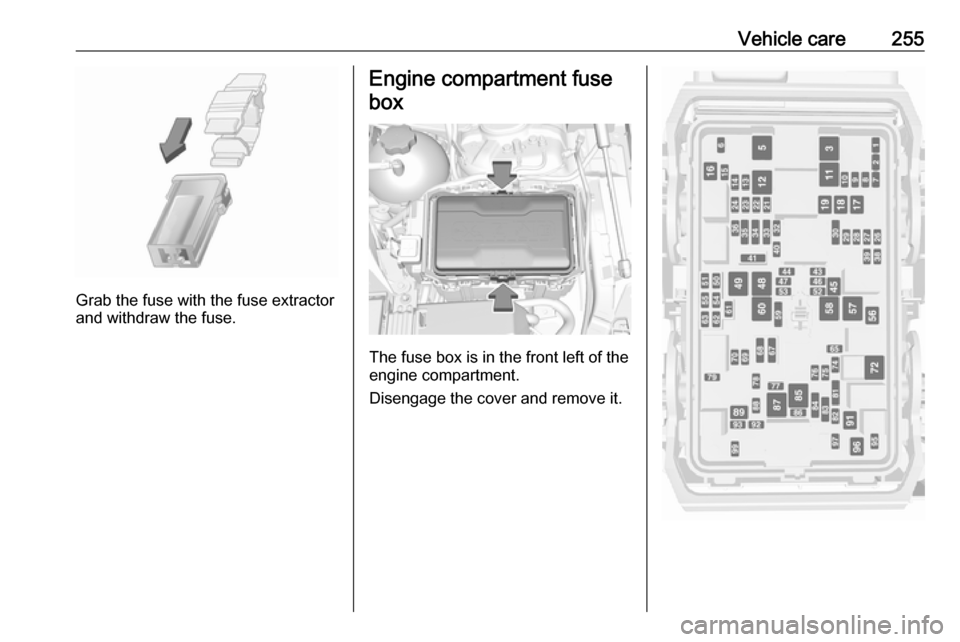 OPEL INSIGNIA BREAK 2019.5  Manual user Vehicle care255
Grab the fuse with the fuse extractor
and withdraw the fuse.
Engine compartment fuse
box
The fuse box is in the front left of the
engine compartment.
Disengage the cover and remove it.